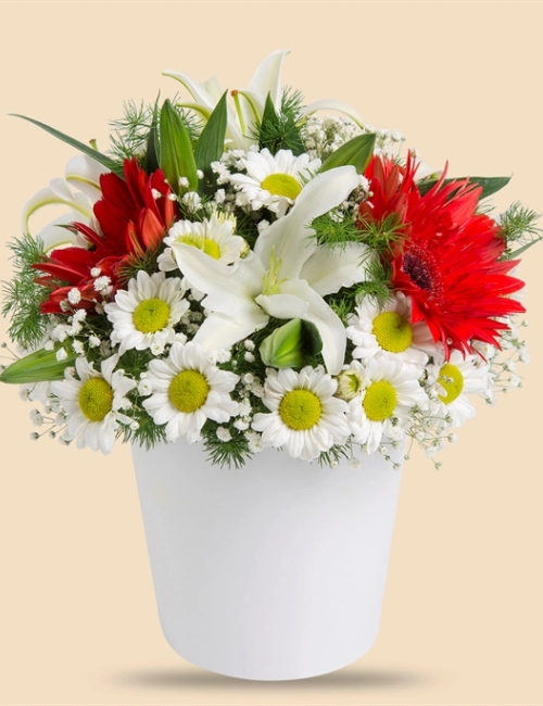  Seramik Vazoda Papatya, Kırmızı Gerbera ve Kazablanka